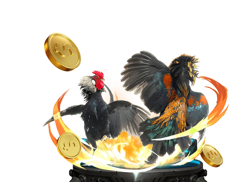 Tổng quan các tính năng chính của ứng dụng TK888